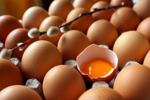 Yumurta Hakkında Bilmedikleriniz